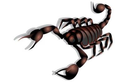 Skorpion