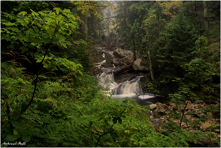 Ilsetal / Ilsefälle
