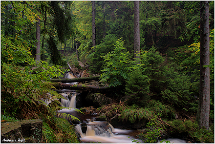 Ilsetal / Ilsefälle