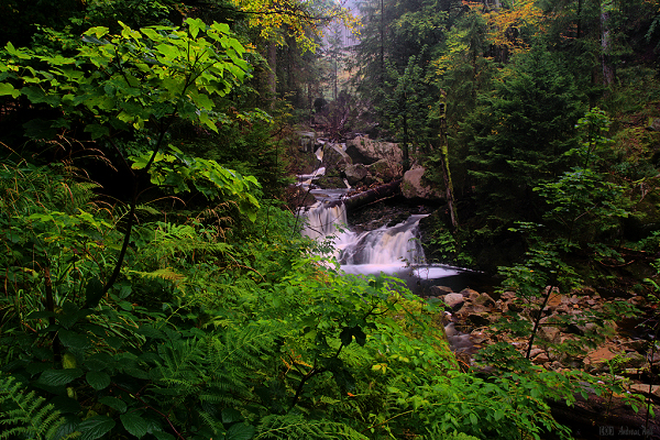 Harz