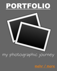 portfolio, fotogalerie