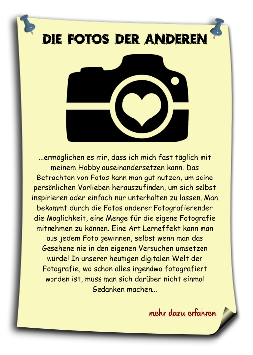 die Fotos der Anderen