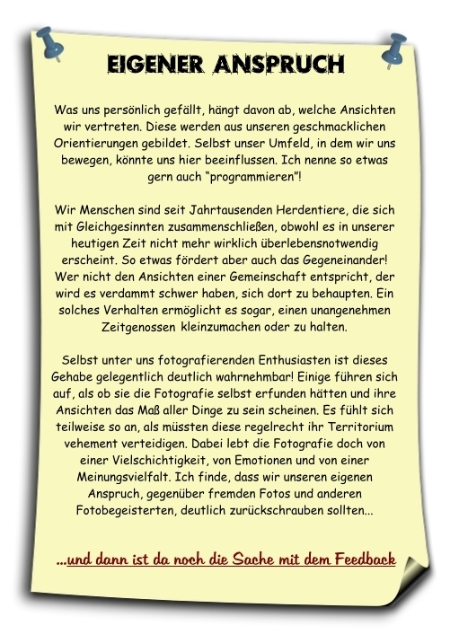 eigener Anspruch und Feedback in der Fotografie