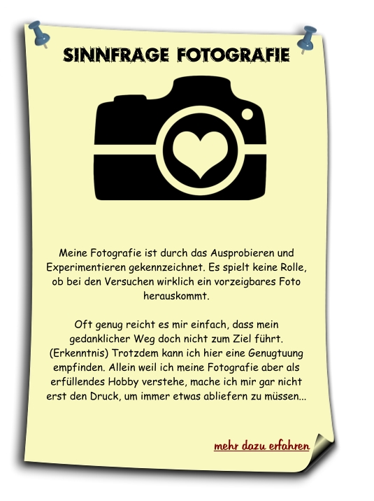 fotografie: sinn, sinnfrage