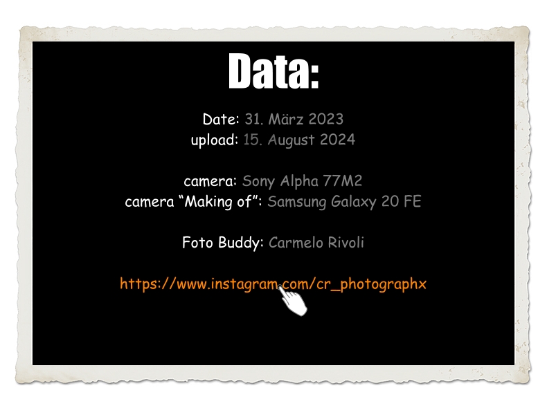 Data Project The Restaurant